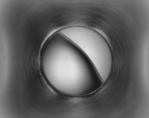 X0000087320894200704200737