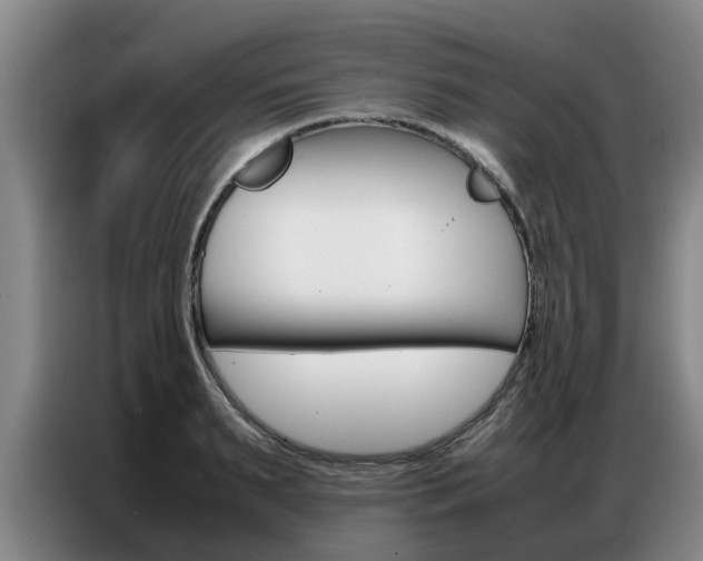 X0000087320895200704200737