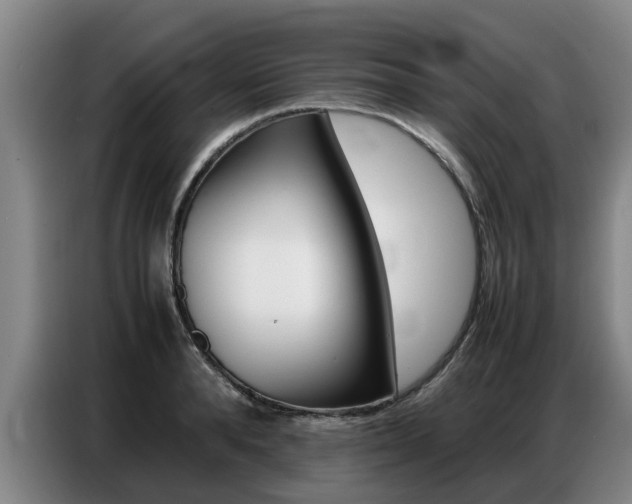 X0000087320896200704200737