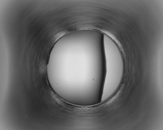 X0000087320897200704200737