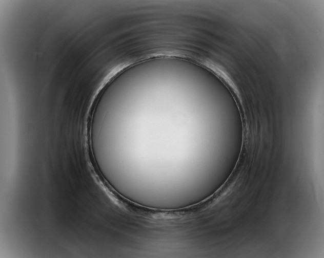 X0000087320898200704200737