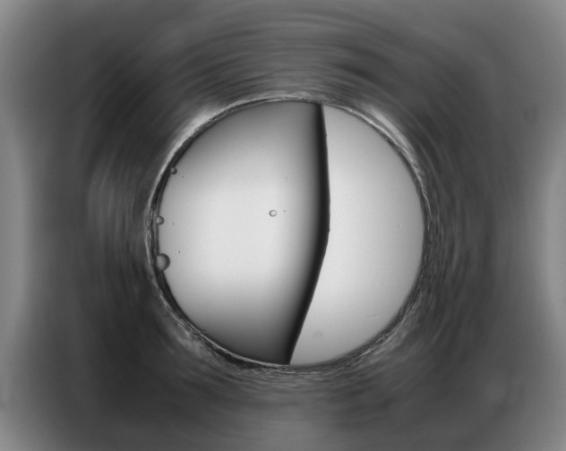X0000087320899200704200737