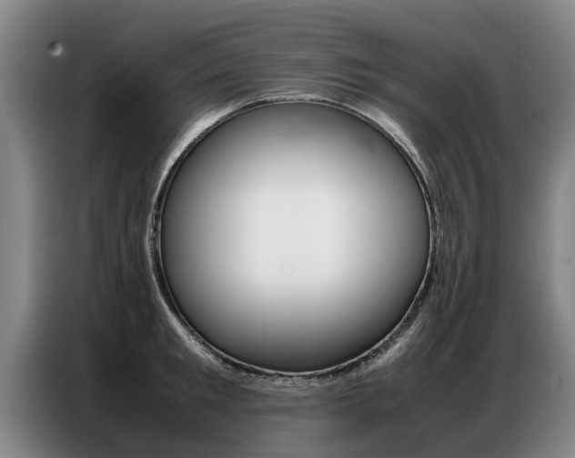 X0000087320901200704200736