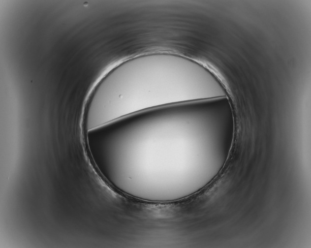 X0000087320902200704200736