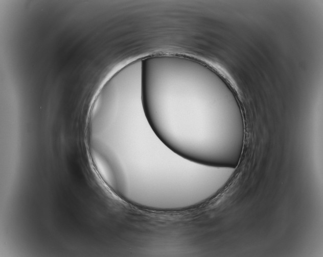 X0000087320903200704200736