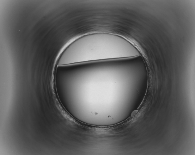 X0000087320904200704200736