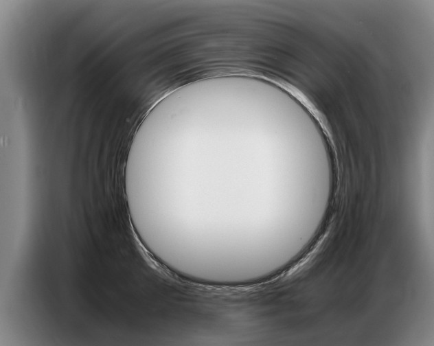 X0000087320905200704200736