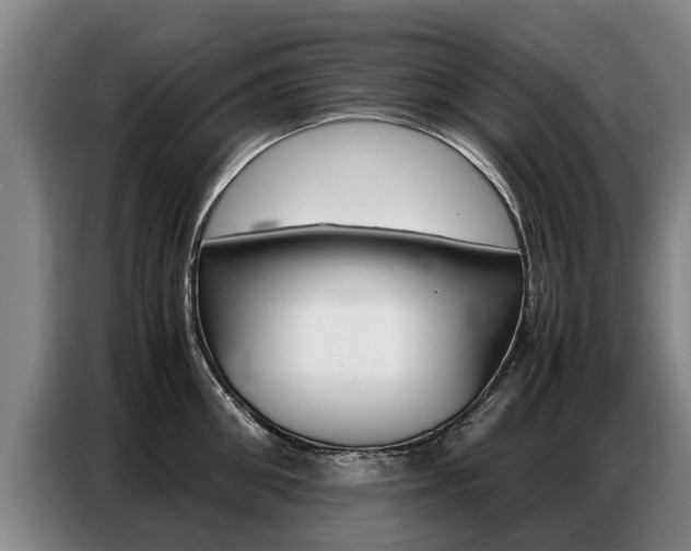 X0000087320906200704200736