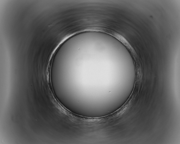 X0000087320908200704200736