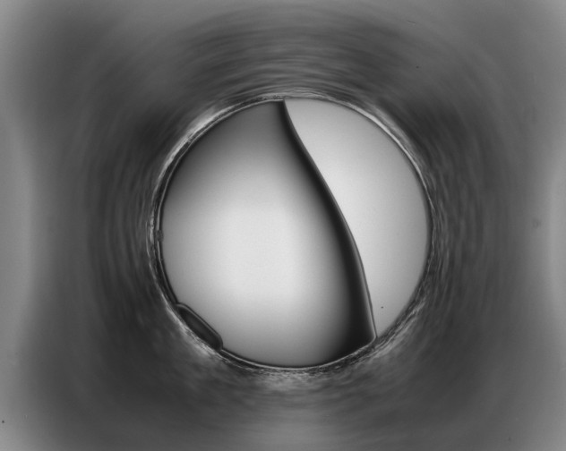 X0000087320909200704200736