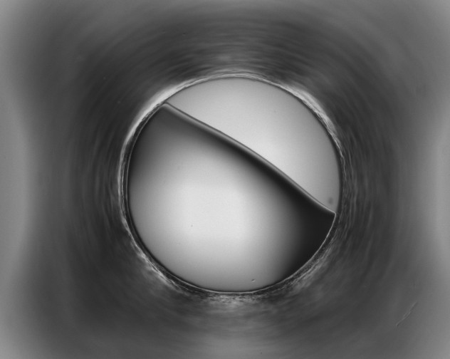 X0000087320910200704200736