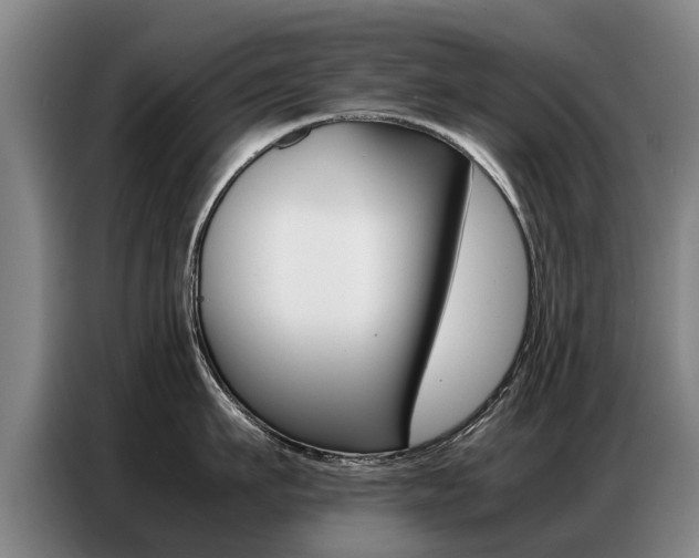 X0000087320911200704200736