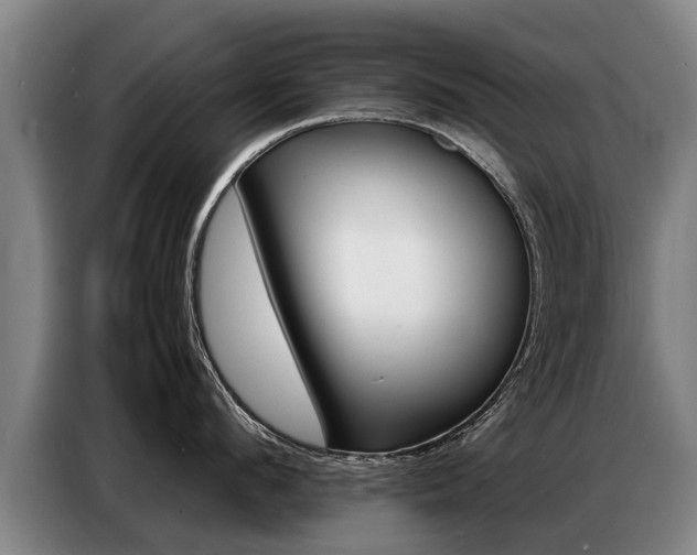 X0000087320912200704200736