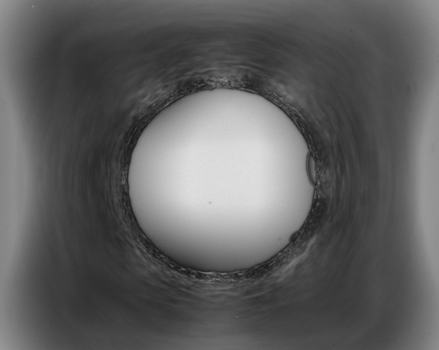 X0000087320913200704200736