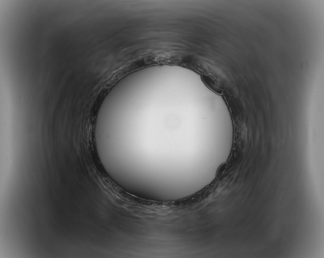X0000087320914200704200736