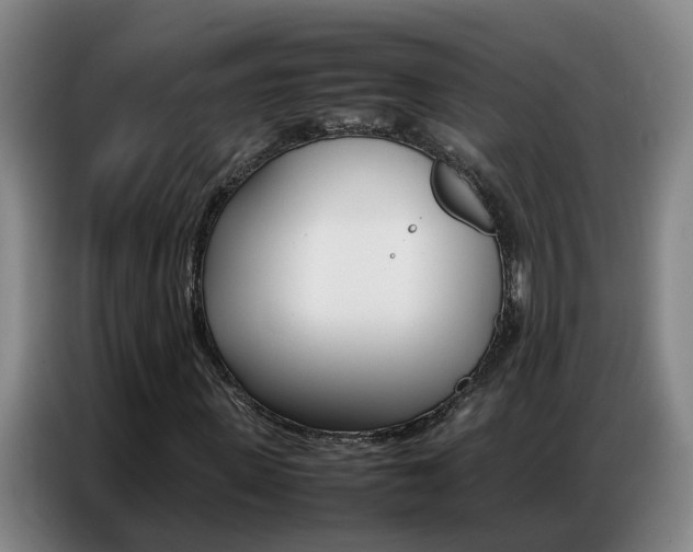 X0000087320915200704200736