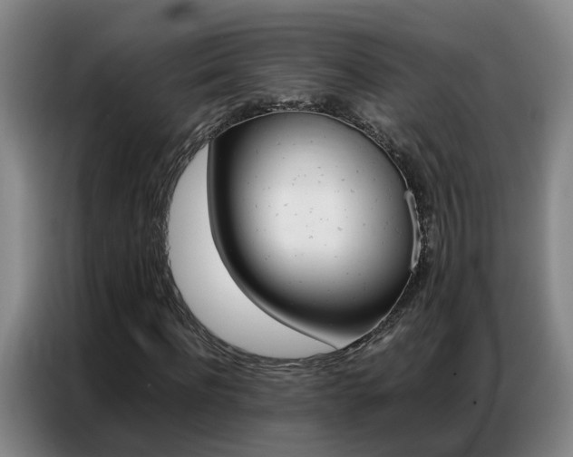 X0000087320916200704200736