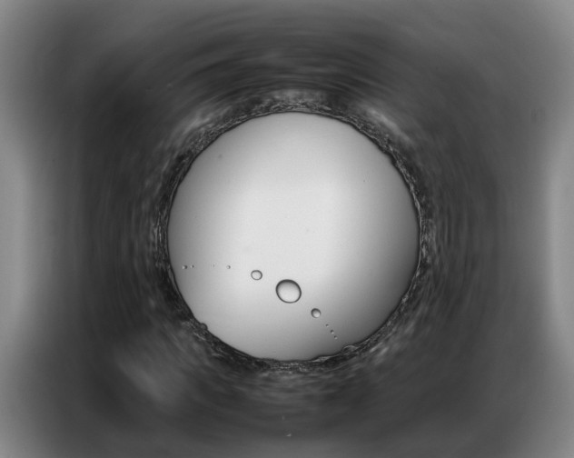 X0000087320917200704200736