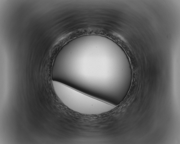 X0000087320919200704200736