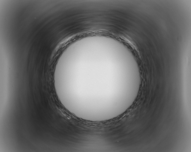 X0000087320920200704200736