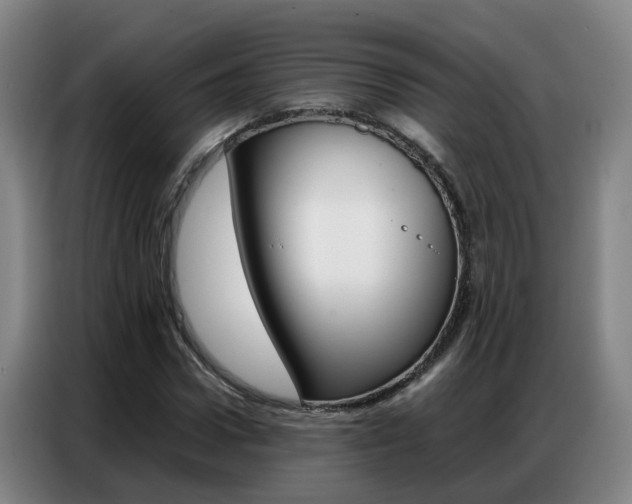 X0000087320922200704200736