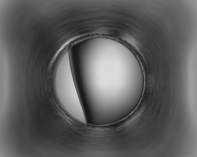 X0000087320923200704200736