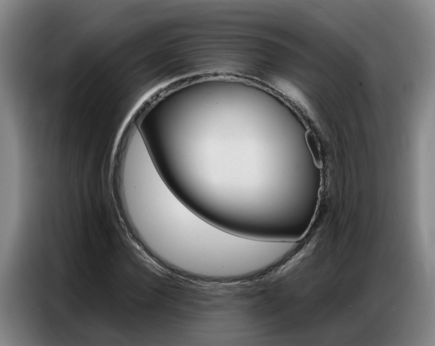 X0000087320924200704200736