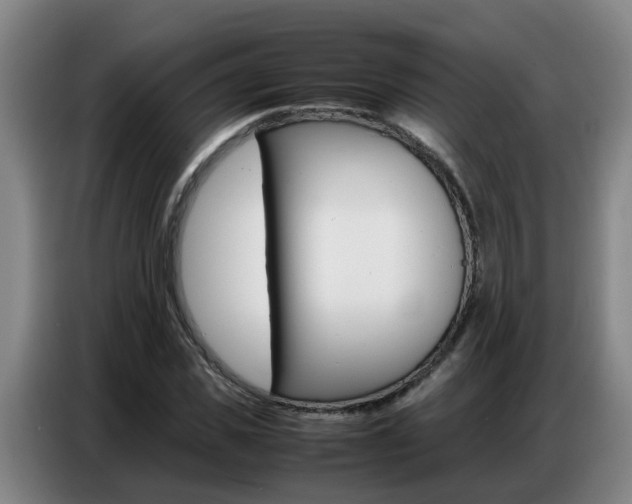 X0000087320925200704200736