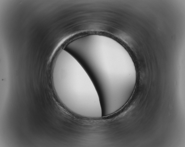 X0000087320926200704200736