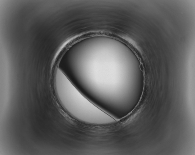 X0000087320927200704200736