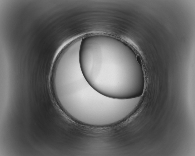 X0000087320928200704200736