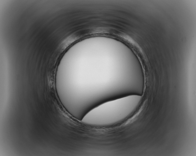 X0000087320929200704200736