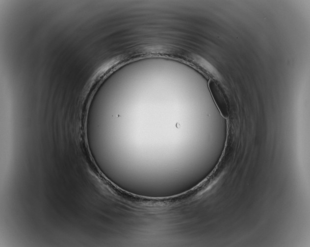 X0000087320930200704200736