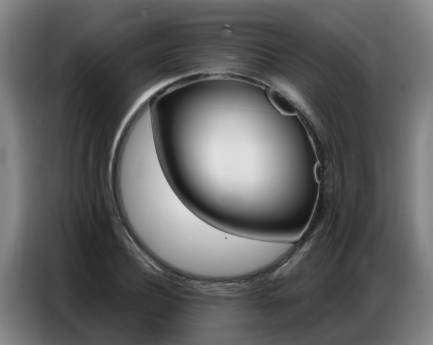 X0000087320932200704200736