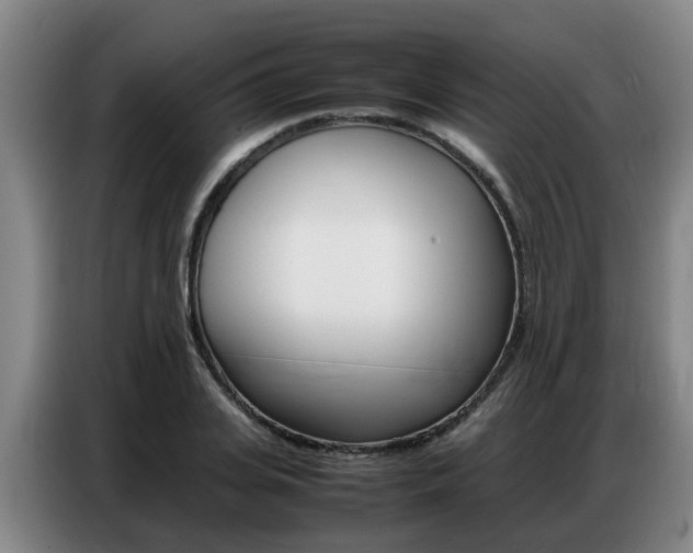 X0000087320935200704200736