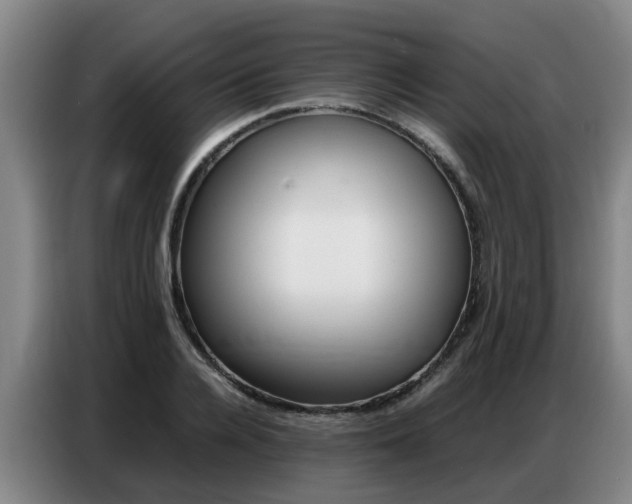 X0000087320936200704200736