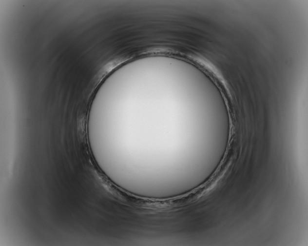 X0000087320937200704200736