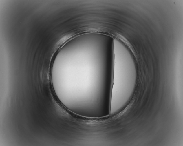 X0000087320938200704200736