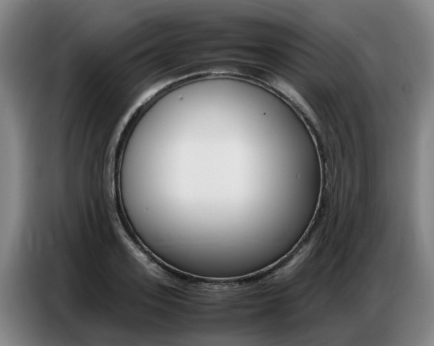 X0000087320939200704200736