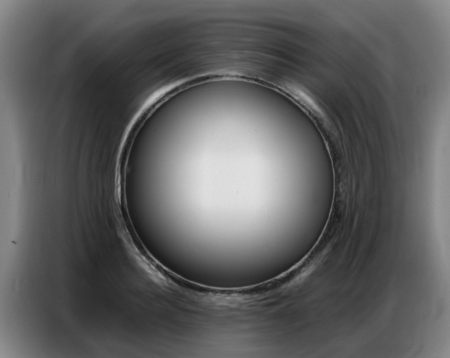 X0000087320940200704200736