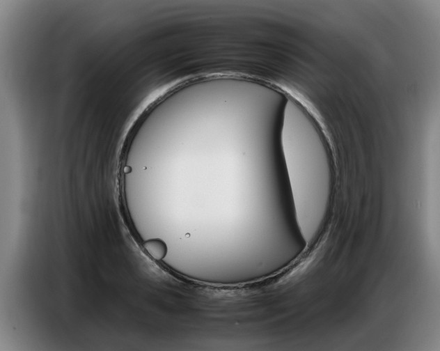 X0000087320941200704200736