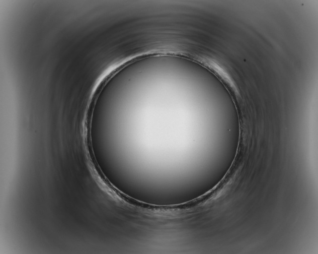 X0000087320944200704200736