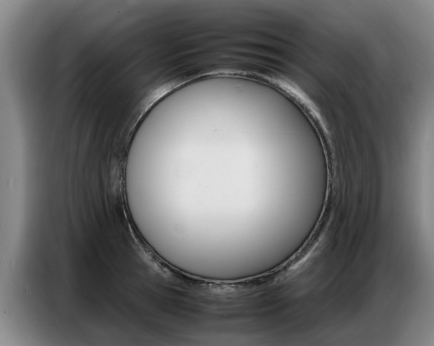 X0000087320945200704200736