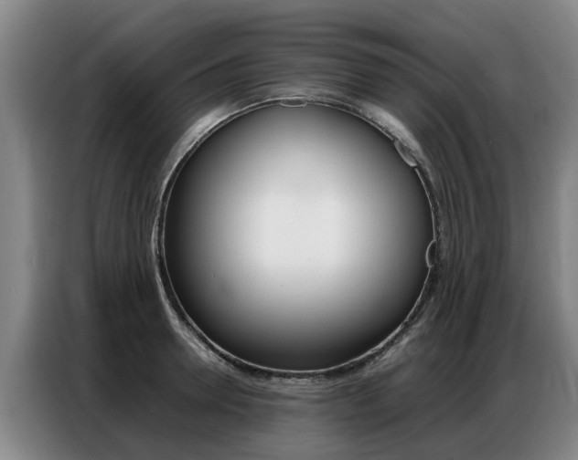 X0000087320946200704200736