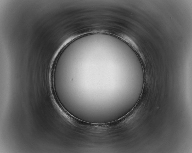 X0000087320947200704200736