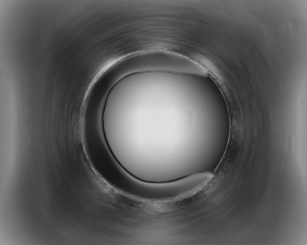 X0000087320948200704200736