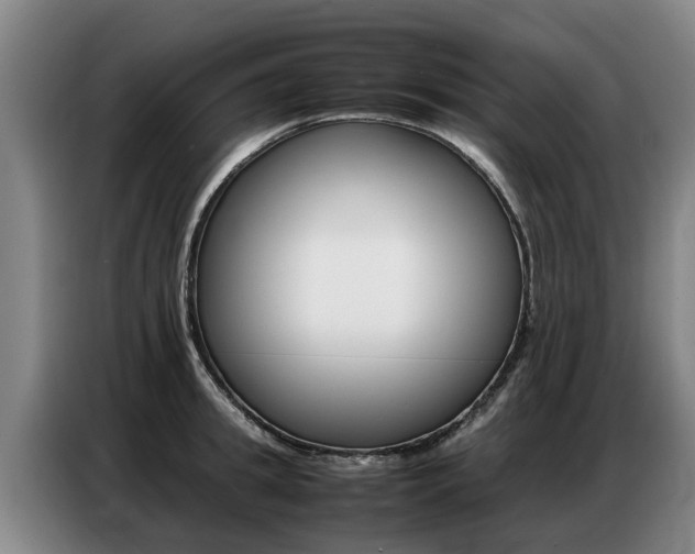 X0000087320949200704200736
