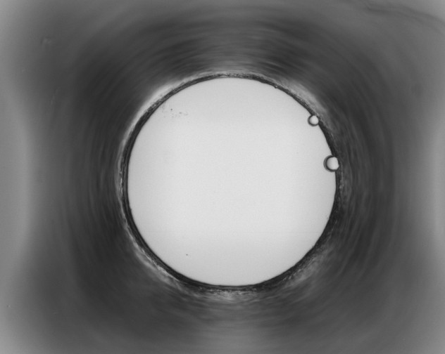 X0000087320950200704200736