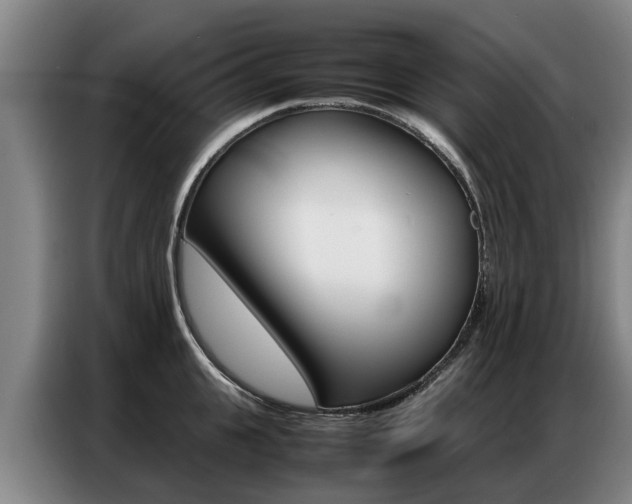 X0000087320951200704200736