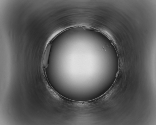 X0000087320952200704200736